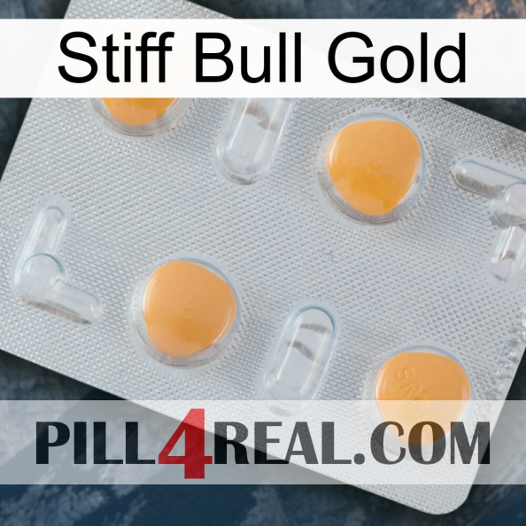 Stiff Bull Gold 24.jpg